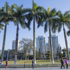 景点模块 