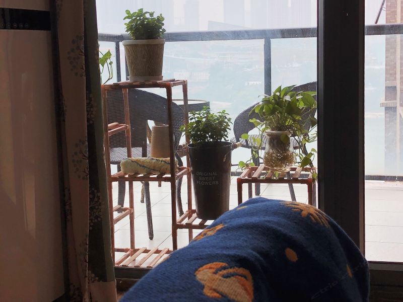 hotelPic
