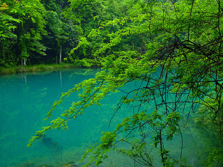 貴州黃果樹瀑布跟團還是自由行_貴州黃果樹瀑布旅游價格多少跟團_去貴州黃果樹瀑布靠譜的旅行團