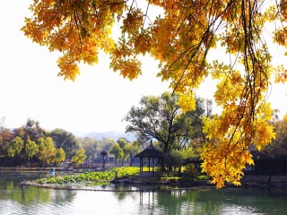 过年去北京跟团_去北京旅行网_北京旅游签证费用