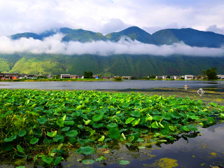 跟團(tuán)云南麗江游價(jià)格_云南麗江八月份旅游_云南麗江旅游費(fèi)用多少