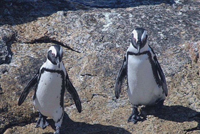 去南非旅游几月份去比较好?