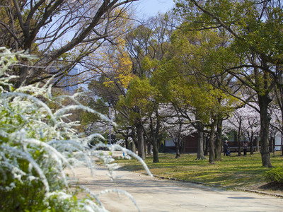 大阪城西之丸庭园