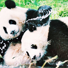景点模块 