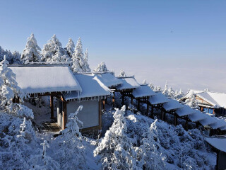 跟团到峨眉山旅游多少钱_目前峨眉山旅游_峨眉山7日跟团游
