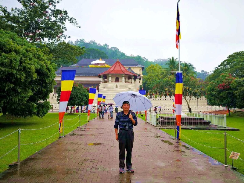 在斯里兰卡康堤自由行。