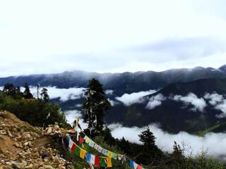 去西藏林芝游怎么省錢_西藏林芝私人定制旅游_西藏林芝旅游團(tuán)