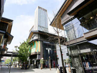 跟团成都旅游_去成都旅游要多少钱_成都旅游会议