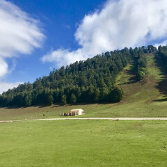 小交通模块 