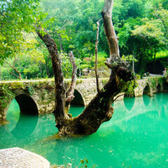 景点模块 