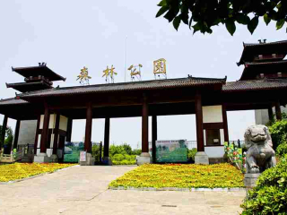 去湖南張家界游要多少錢_湖南張家界旅游大概多少錢_湖南張家界報(bào)團(tuán)多少錢