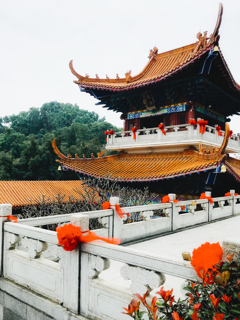 有因有果有菩提:深圳弘法寺和弘源寺