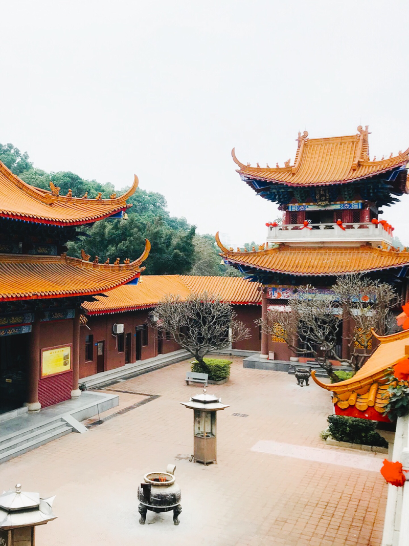 有因有果有菩提:深圳弘法寺和弘源寺