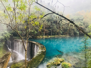 游黄果树_黄果树旅游中国_黄果树旅游哪家好