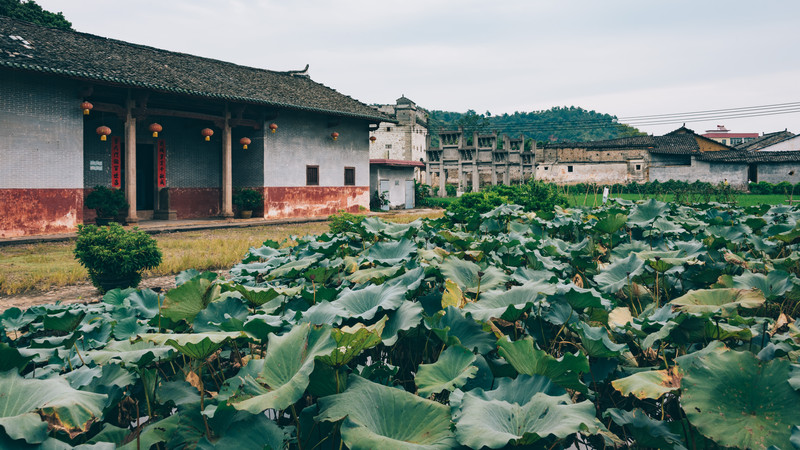 闲游客家小城—始兴红梨村,红沙漠,红围,东湖坪