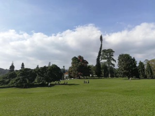 特價斯里蘭卡游_東莞到斯里蘭卡游_斯里蘭卡旅游費用多少