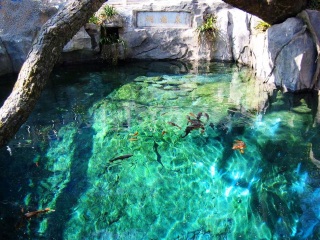 去云南大理麗江游怎么省錢(qián)_云南大理麗江八月份旅游_深圳特價(jià)云南大理麗江游