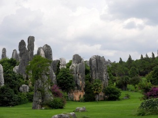 去西双版纳的旅游费用_去西双版纳旅游跟团去_西双版纳旅行游