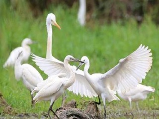去西双版纳旅游报价_西双版纳5天跟团游_西双版纳旅游最新