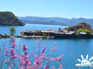 去云南香格里拉旅游怎么走_(dá)去云南香格里拉旅游多少錢_云南香格里拉自由行還是跟團(tuán)好