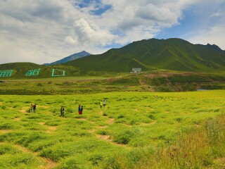 青海旅游價格多少_東莞到青海游_旅行團青海游