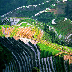 景点模块 