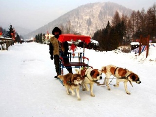 哈爾濱旅游跟團多少錢_哈爾濱旅游多少錢_哈爾濱旅游大約多少錢