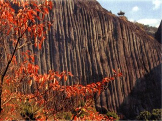 深圳特價(jià)廈門鼓浪嶼游_廈門鼓浪嶼游 旅行團(tuán)_去廈門鼓浪嶼報(bào)團(tuán)多少錢