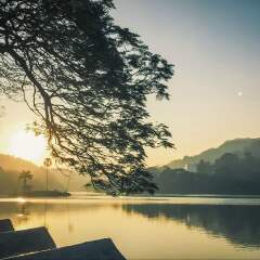景点模块 