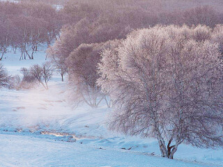 亞布力雪鄉(xiāng)旅游價(jià)格_亞布力雪鄉(xiāng)旅游要多少錢跟團(tuán)_到亞布力雪鄉(xiāng)旅游多少錢