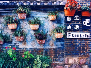 春節(jié)假期去云南麗江游價(jià)格_云南麗江七日游旅游團(tuán)_春節(jié)云南麗江旅游價(jià)格
