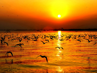 宁夏跟团还是自由行_宁夏旅游价格多少_宁夏旅游5日游多少钱