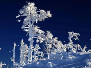 亞布力雪鄉(xiāng)旅游價(jià)格_亞布力雪鄉(xiāng)旅游要多少錢跟團(tuán)_到亞布力雪鄉(xiāng)旅游多少錢