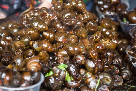 food_picture