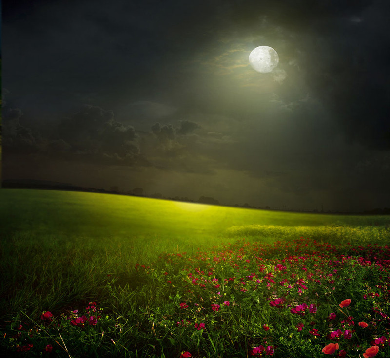 旷达无垠的草原拉近了人与月亮的距离,如盘