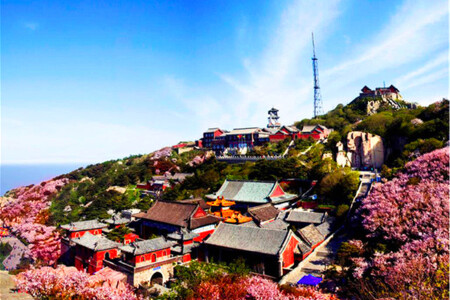 <山东曲阜-泰山-济南3日游>济南汽车往返小团化不起早2人起发纯玩0购物赠封禅泰山景交沐浴儒风漫步泰山赏泉城市区舒适酒店