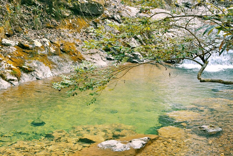2天1晚遂昌冬日暖景玩法_遂昌怎么玩_遂昌旅游攻略