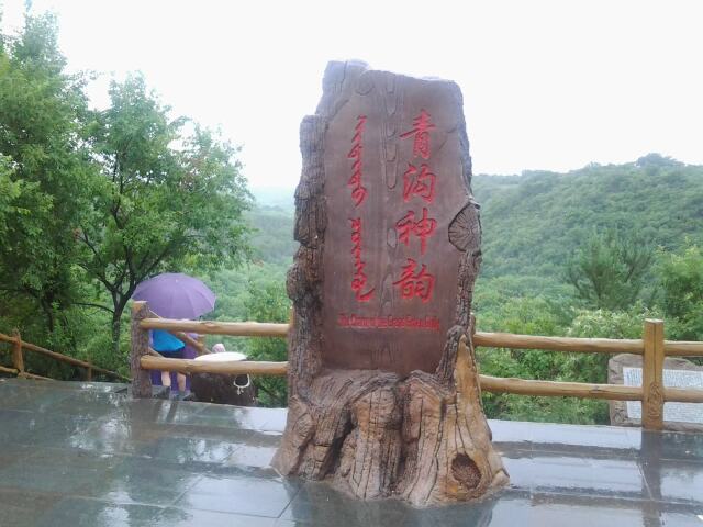 大青沟在蒙语中被称为"冲胡勒",是内蒙古著名的珍贵阔叶林自然保护区.