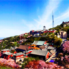 景点模块 