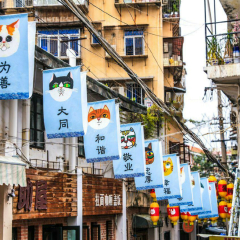 景点模块 