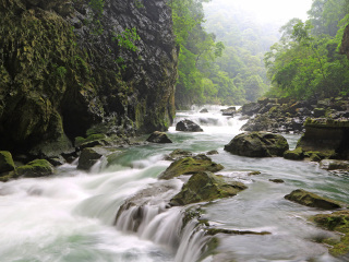 6月底贵州黄果树旅游_贵州黄果树旅游十日_至贵州黄果树跟团游