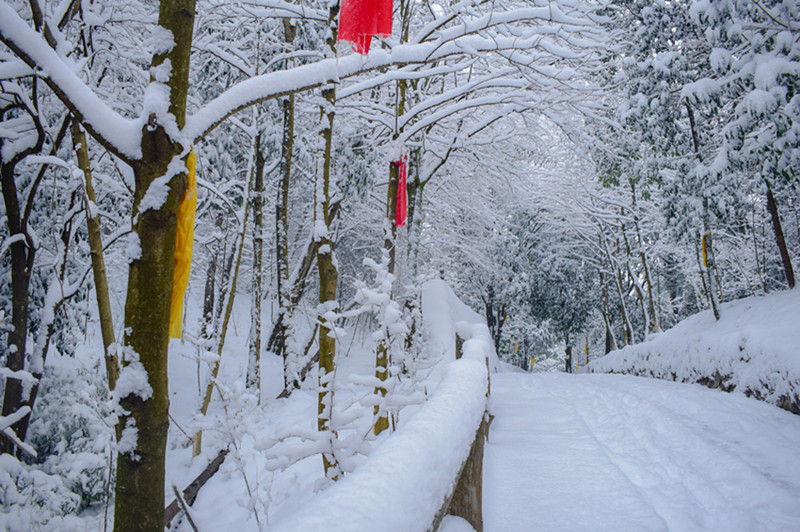 2019年的第一场旅行,九皇山的雪景真的惊艳到我了!