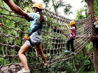 西双版纳旅游热门_西双版纳游跟团多少钱_西双版纳旅游几月份最合适