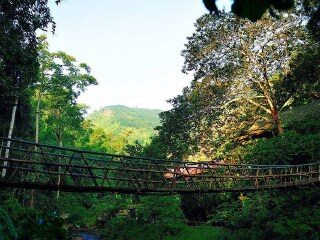 西双版纳旅游热门_西双版纳游跟团多少钱_西双版纳旅游几月份最合适