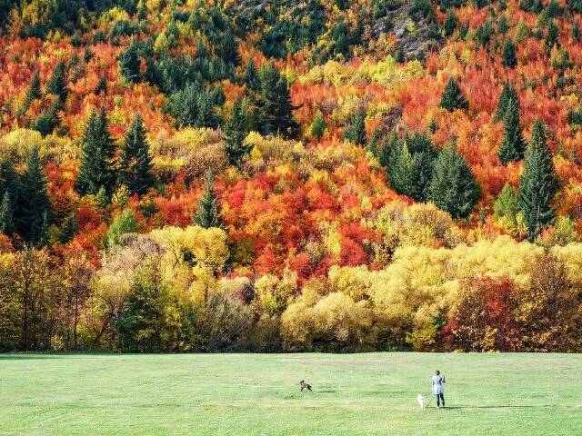 http:\/\/www.tuniu.com\/tour\/210593627