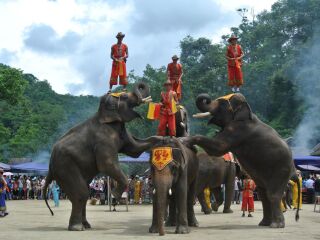 旅游西双版纳跟团_西双版纳旅行线路_最近去西双版纳旅行