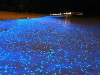 沙巴最適合旅游的季節(jié)_沙巴游跟團(tuán)_到沙巴旅游
