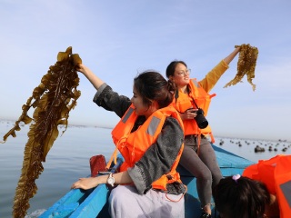 組團(tuán)去大連_大連私人定制旅游_深圳到大連旅游報(bào)價(jià)