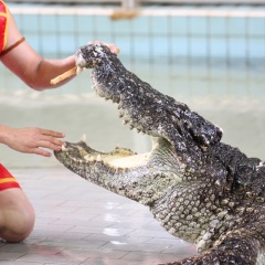 景点模块 