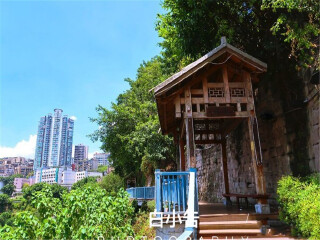 組團(tuán)去重慶_重慶私人定制旅游_跟團(tuán)重慶游價(jià)格